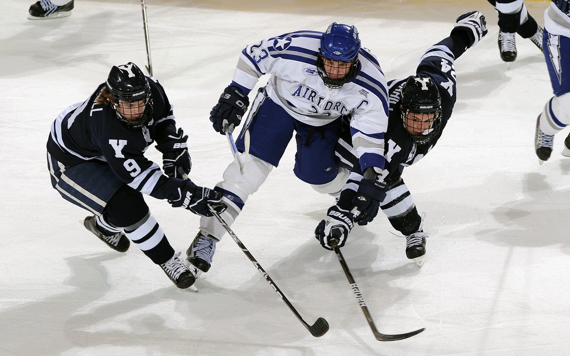 “腰旗美式橄榄球赛:东部新区赛场激烈对抗,观众热情高涨”